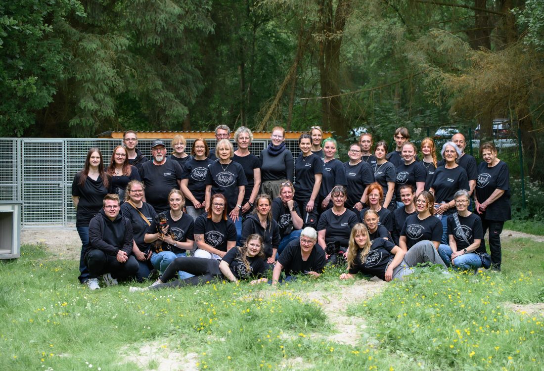All unsere Freiwilligen und Ehrenamtlichen