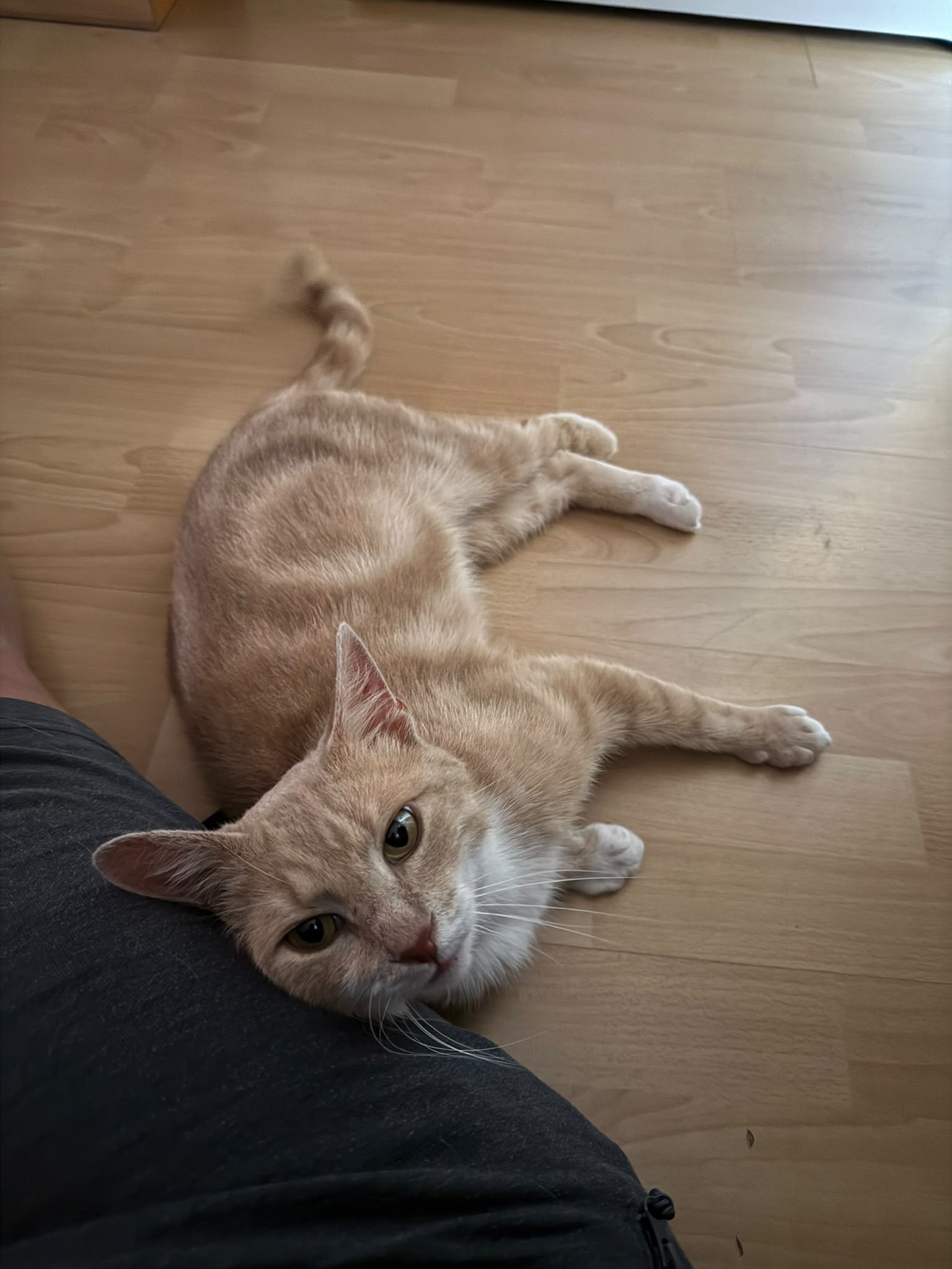 Tigger