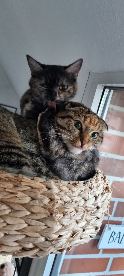 Coco und Gerda