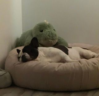 LILO